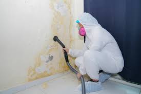 Best Industrial Mold Remediation  in Cerritos, CA